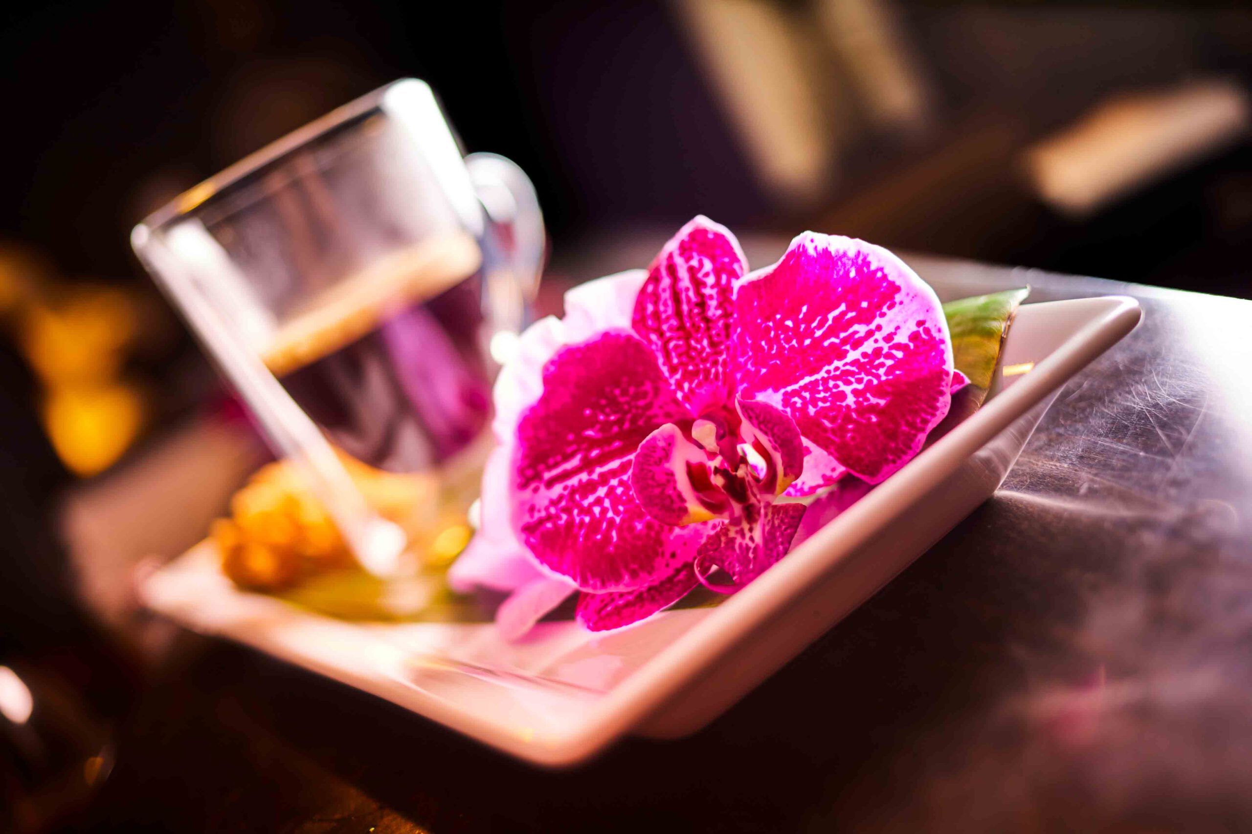 Orchidee auf kleinem Teller im Restaurant als Nahaufnahme. Im Hintergrund ist eine Espressotasse zu erkennen
