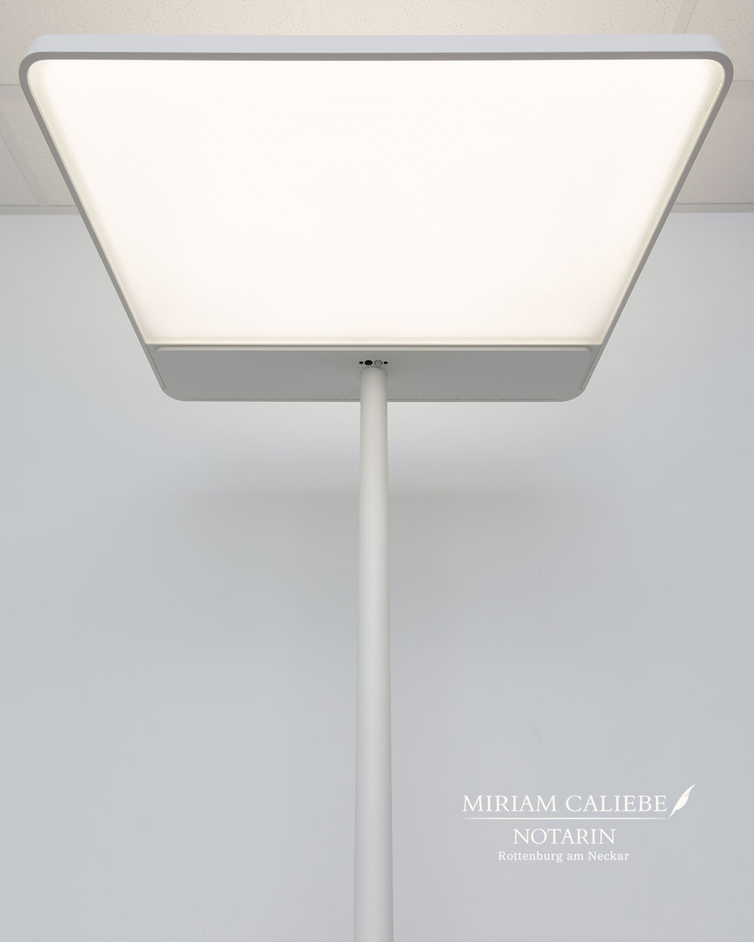 dipool-Online-Marketing-aus-Tübingen-Notarin-Caliebe-Rottenburg-2