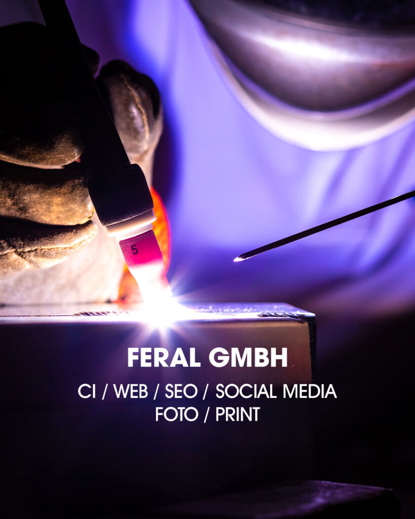 dipool-Online-Marketing-aus-Tübingen-Feral-GmbH-Reutlingen